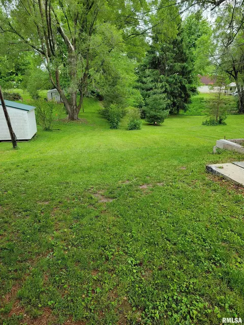 320 Cass Pl, Canton, IL 61520 photo 34