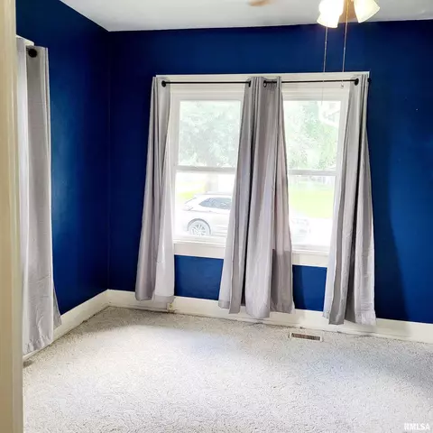 60 E Cherry St, Canton, IL 61520 photo 22
