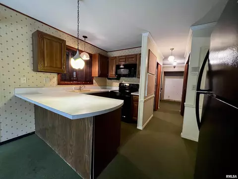 10 Rye Ct, Macomb, IL 61455 photo 8