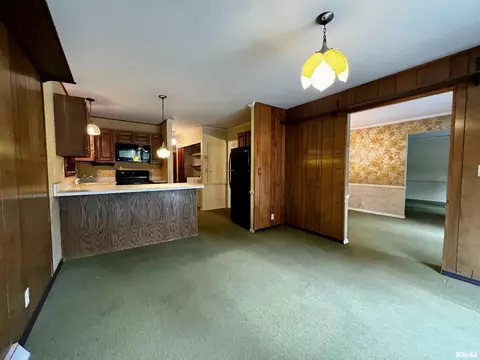 10 Rye Ct, Macomb, IL 61455 photo 7