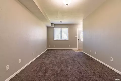 1215 E Chestnut St, Canton, IL 61520 photo 13