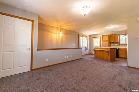 1215 E Chestnut St, Canton, IL 61520 photo 6