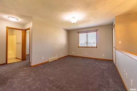 1215 E Chestnut St, Canton, IL 61520 photo 4