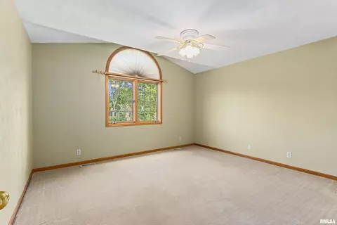 11207 N Daniel Ct, Dunlap, IL 61525 photo 42
