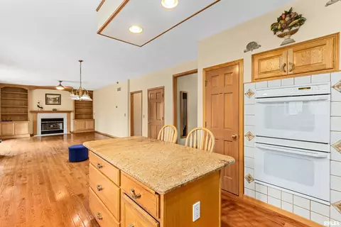 11207 N Daniel Ct, Dunlap, IL 61525 photo 27