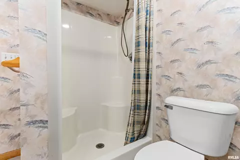 11207 N Daniel Ct, Dunlap, IL 61525 photo 50