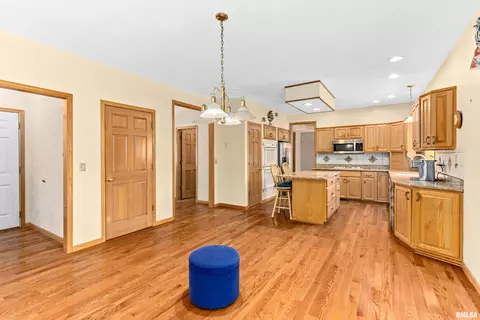 11207 N Daniel Ct, Dunlap, IL 61525 photo 23