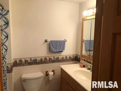 15925 E Cheyenne Dr, Cuba, IL 61427 photo 22