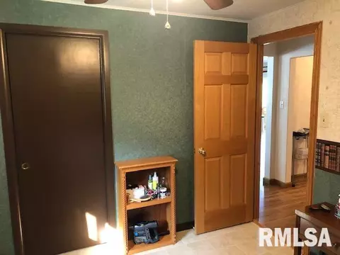 15925 E Cheyenne Dr, Cuba, IL 61427 photo 20