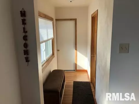 15925 E Cheyenne Dr, Cuba, IL 61427 photo 28
