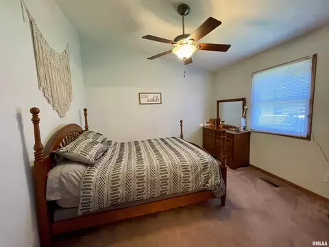 2203 Mitchell Dr, Eureka, IL 61530 photo 19