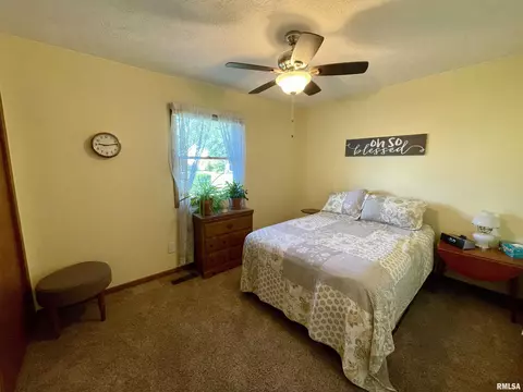 2203 Mitchell Dr, Eureka, IL 61530 photo 20