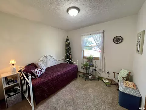 2203 Mitchell Dr, Eureka, IL 61530 photo 23