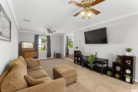 308 Maplewood Blvd, Dunlap, IL 61525 photo 17