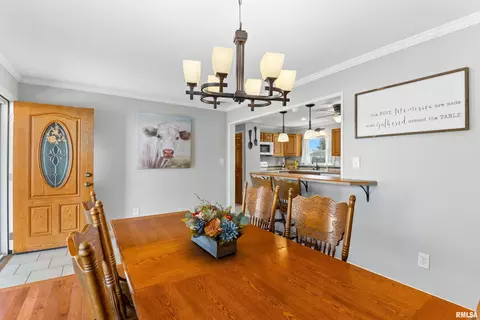308 Maplewood Blvd, Dunlap, IL 61525 photo 10
