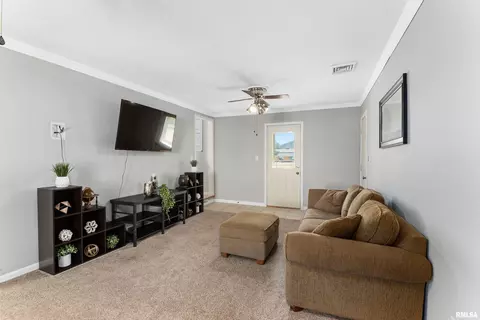 308 Maplewood Blvd, Dunlap, IL 61525 photo 19