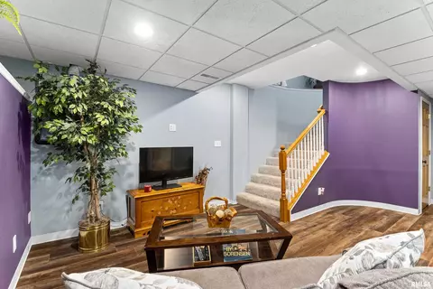 308 Maplewood Blvd, Dunlap, IL 61525 photo 28