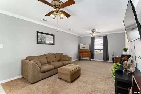 308 Maplewood Blvd, Dunlap, IL 61525 photo 16