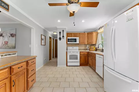 308 Maplewood Blvd, Dunlap, IL 61525 photo 14
