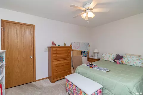 1335 Douglas Rd, Metamora, IL 61548 photo 28