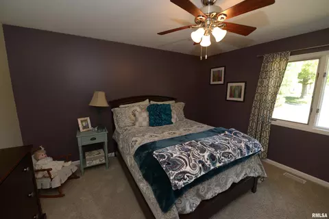 142 E Morningside Dr, Peoria, IL 61614 photo 42