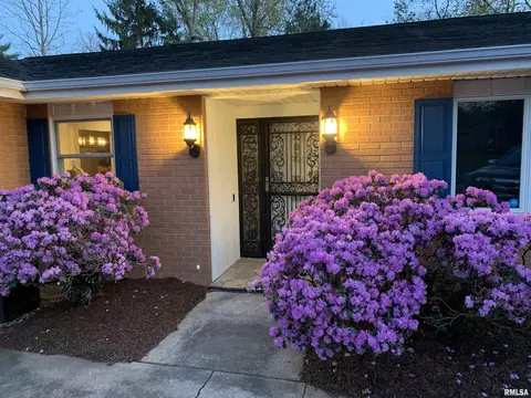 142 E Morningside Dr, Peoria, IL 61614 photo 62