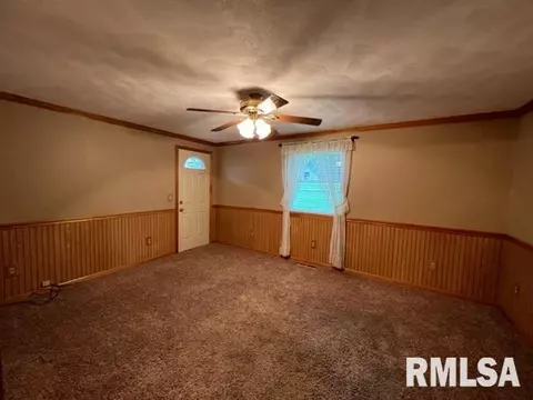 820 E Myrtle St, Canton, IL 61520 photo 4