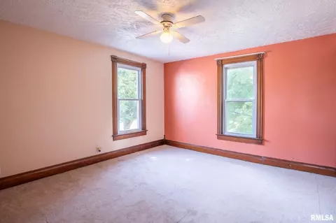 310 S Cedar St, Delavan, IL 61734 photo 29