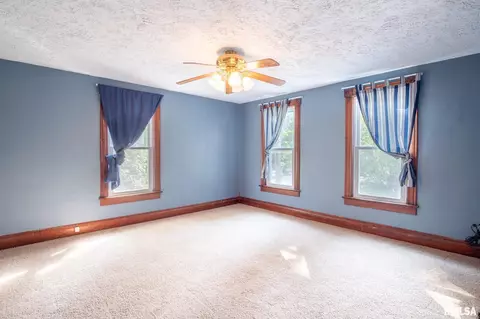 310 S Cedar St, Delavan, IL 61734 photo 25
