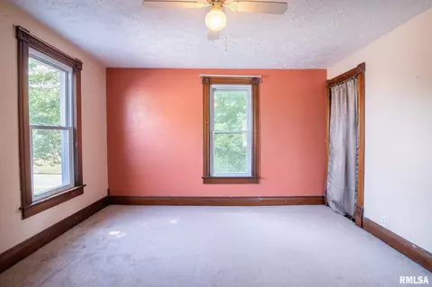 310 S Cedar St, Delavan, IL 61734 photo 30