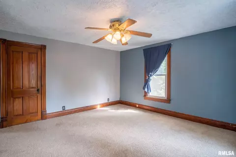 310 S Cedar St, Delavan, IL 61734 photo 27