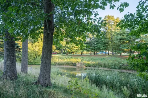 4208 S Walnut Point Dr, Mapleton, IL 61547 photo 70