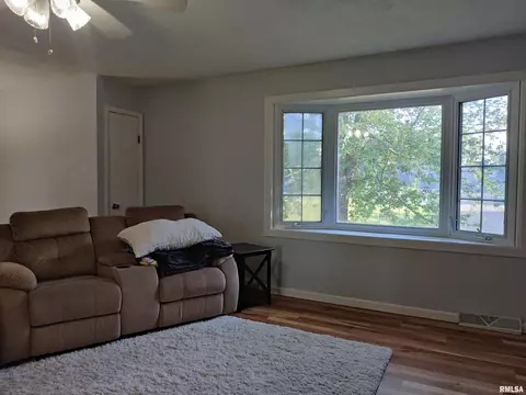 10043 W Lake Camelot Dr, Mapleton, IL 61547 photo 9
