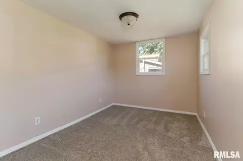 818 S Cedar St, Delavan, IL 61734 photo 19
