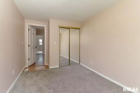 818 S Cedar St, Delavan, IL 61734 photo 20