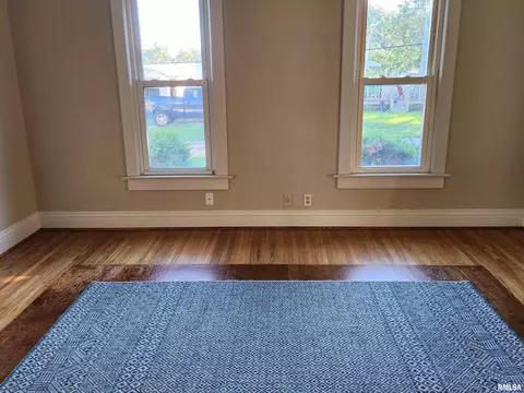 381 W Maple St, Canton, IL 61520 photo 18