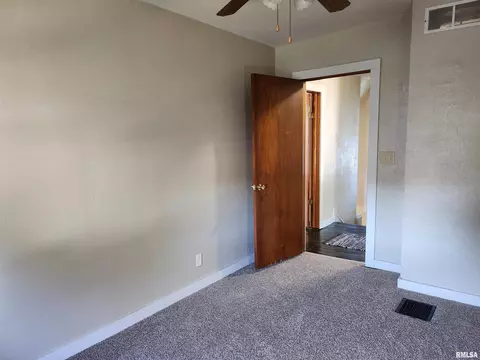 381 W Maple St, Canton, IL 61520 photo 39