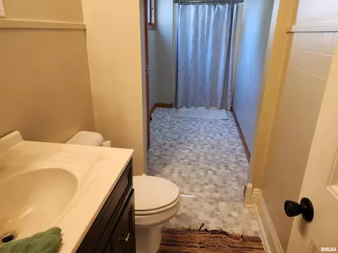 381 W Maple St, Canton, IL 61520 photo 29