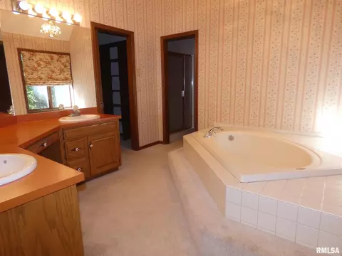 6 Roth Ct, Metamora, IL 61548 photo 33