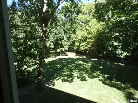 6 Roth Ct, Metamora, IL 61548 photo 41