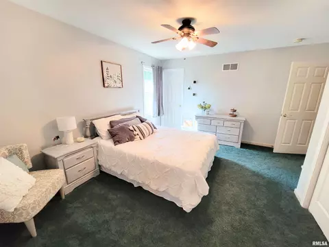 433 County Road 1975 E Rd, Secor, IL 61771 photo 39