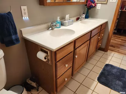 15531 E Geronimo Dr, Cuba, IL 61427 photo 32