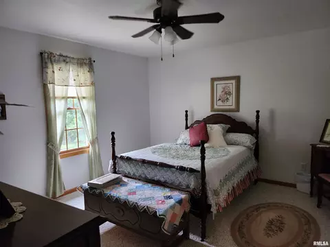 15531 E Geronimo Dr, Cuba, IL 61427 photo 44