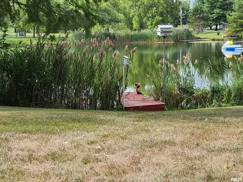 15531 E Geronimo Dr, Cuba, IL 61427 photo 67