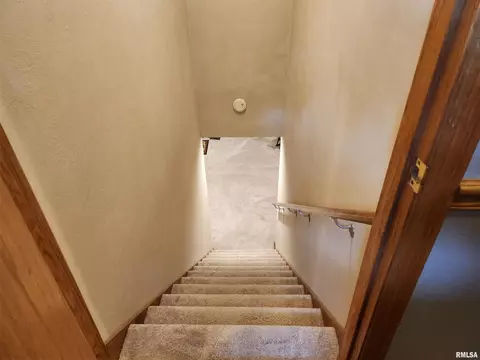 15531 E Geronimo Dr, Cuba, IL 61427 photo 50
