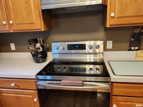 15531 E Geronimo Dr, Cuba, IL 61427 photo 23