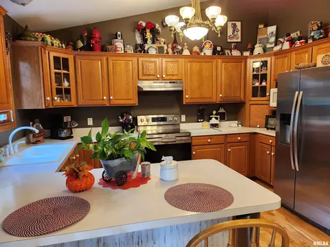 15531 E Geronimo Dr, Cuba, IL 61427 photo 20