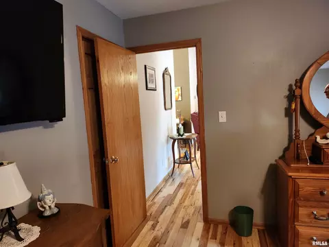 15531 E Geronimo Dr, Cuba, IL 61427 photo 39