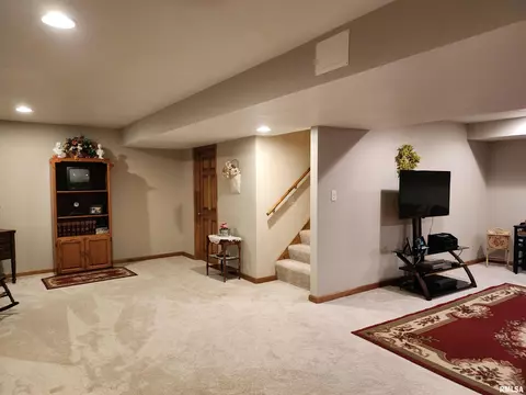 15531 E Geronimo Dr, Cuba, IL 61427 photo 52