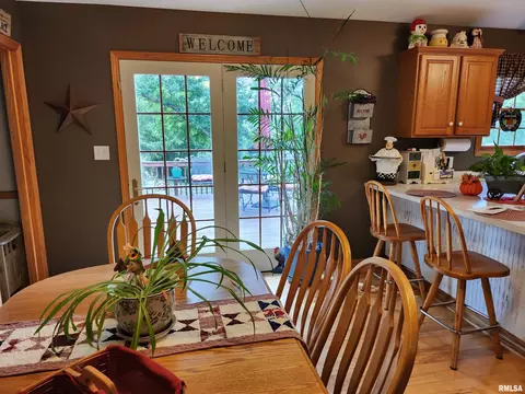 15531 E Geronimo Dr, Cuba, IL 61427 photo 18